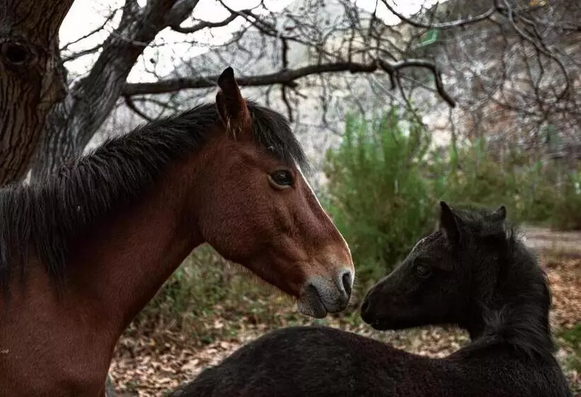 Aamiaismajoitus (B&B) Casona El Resguardo   Solo Adultos