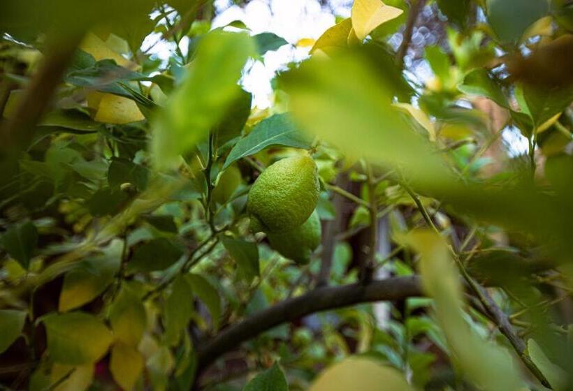 Bed & Breakfast Casona El Resguardo   Solo Adultos