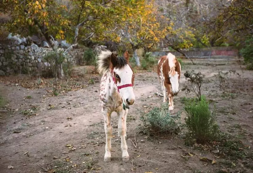 Aamiaismajoitus (B&B) Casona El Resguardo   Solo Adultos