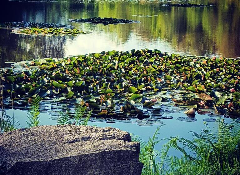 住宿加早餐  Chateauret