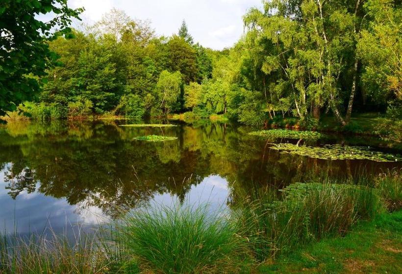 住宿加早餐  Chateauret