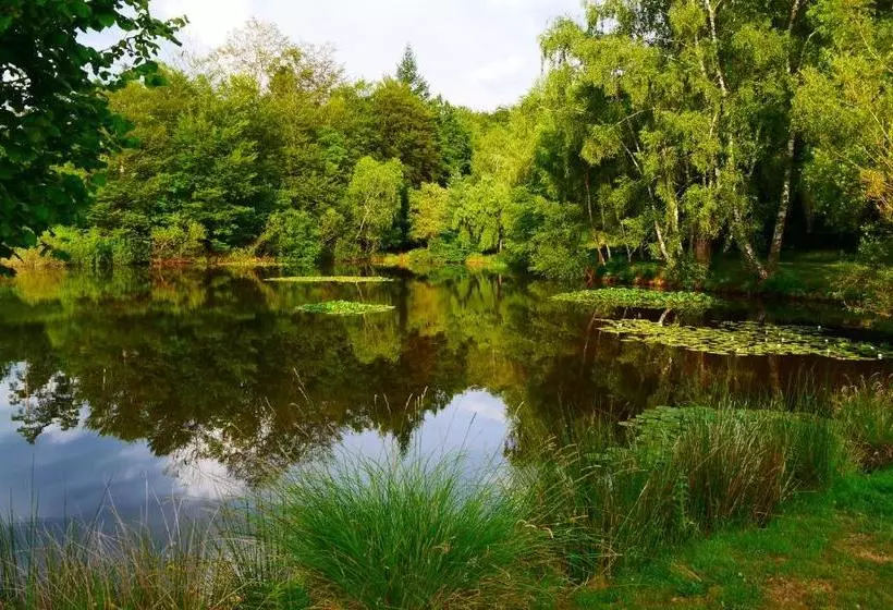 ベッドアンドブレックファースト Chateauret