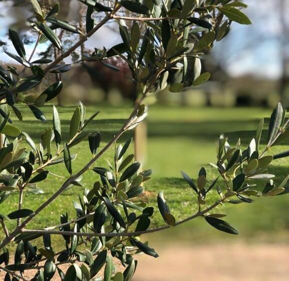 צימר L Esprit Du Clain Chambres D Hôtes Bandb De Standing Proches Du Futuroscope Golf Et Lac De St Cyr