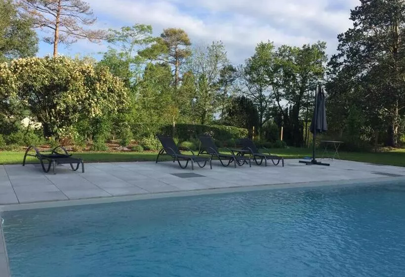 ベッドアンドブレックファースト L Esprit Du Clain Chambres D Hôtes Bandb De Standing Proches Du Futuroscope Golf Et Lac De St Cyr