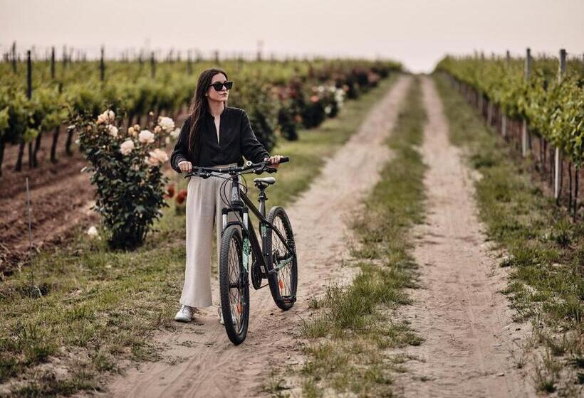 هتل Domeniile Panciu Winery & Resort