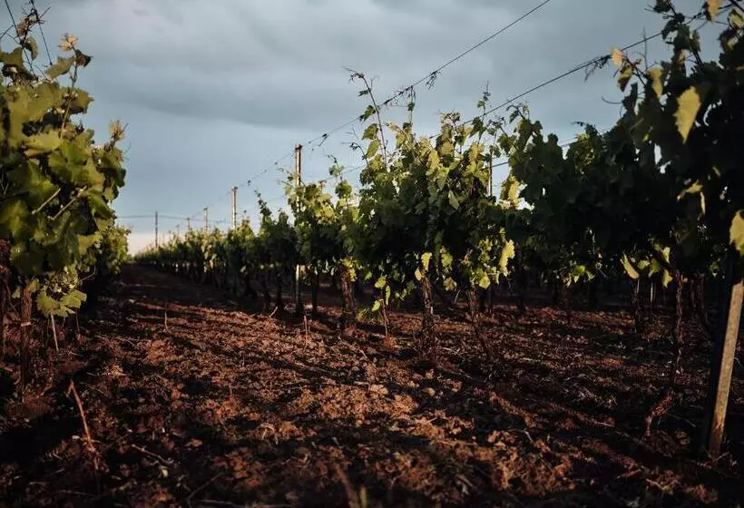 Hotelli Domeniile Panciu Winery & Resort