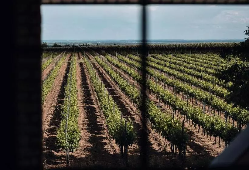 Hotelli Domeniile Panciu Winery & Resort