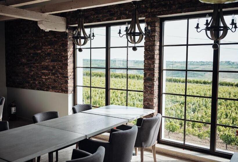 هتل Domeniile Panciu Winery & Resort