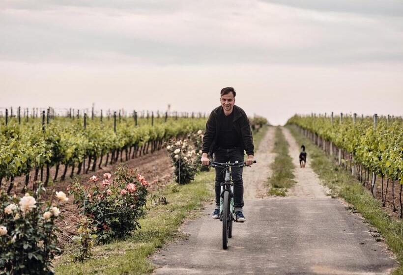 هتل Domeniile Panciu Winery & Resort