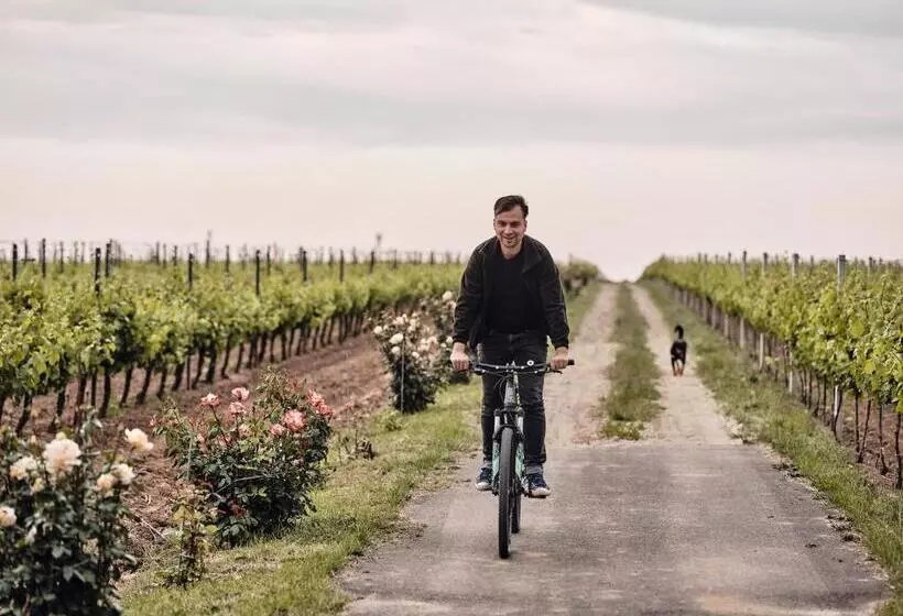 Hotelli Domeniile Panciu Winery & Resort