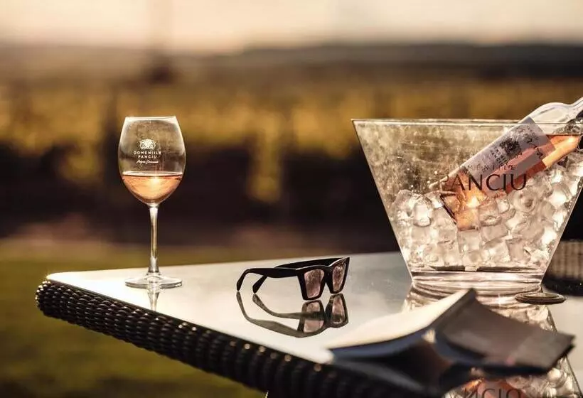Hotelli Domeniile Panciu Winery & Resort