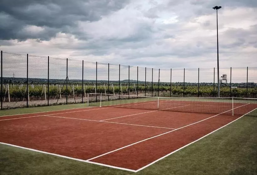 Hotelli Domeniile Panciu Winery & Resort