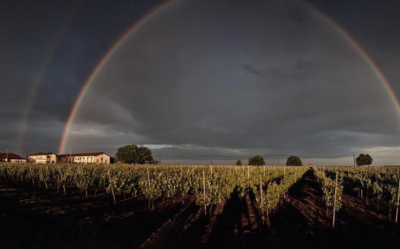 هتل Domeniile Panciu Winery & Resort