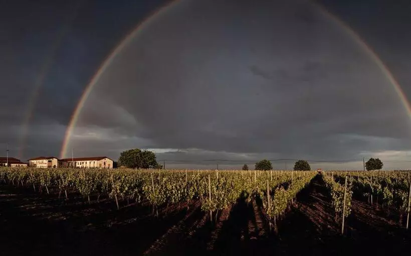 Hotelli Domeniile Panciu Winery & Resort