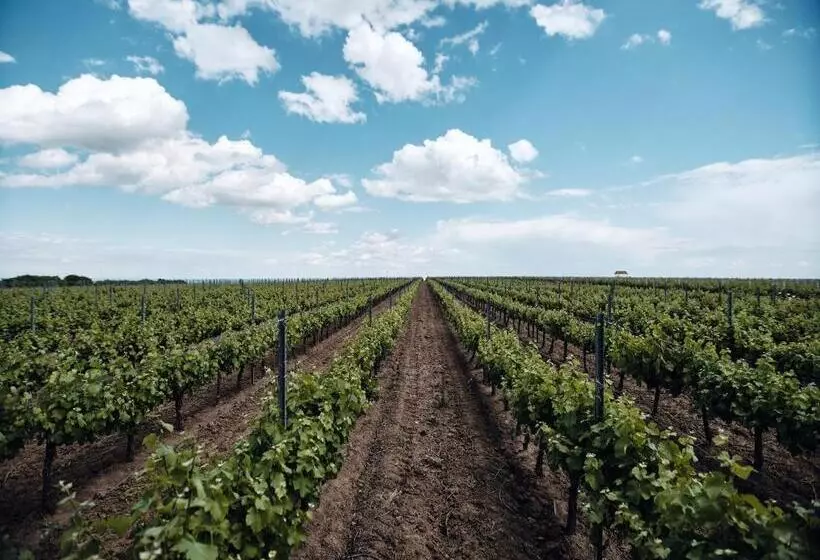 Hotelli Domeniile Panciu Winery & Resort