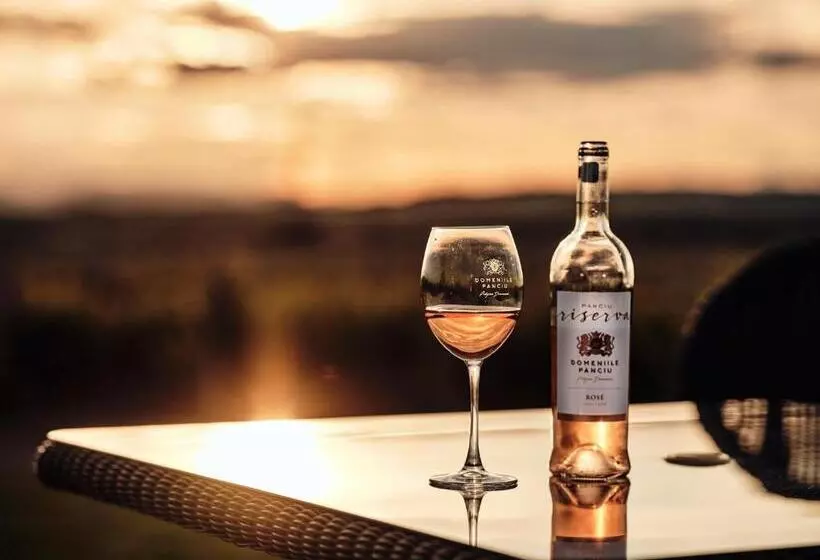 Hotelli Domeniile Panciu Winery & Resort