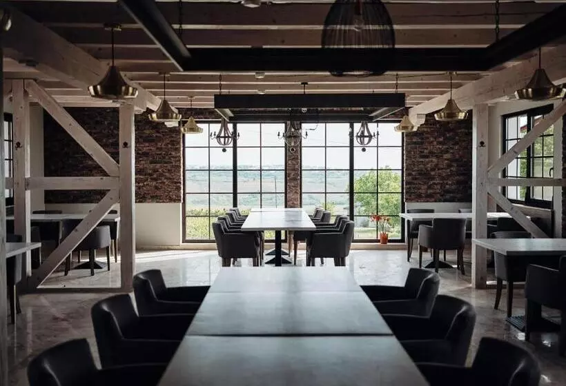 Hotelli Domeniile Panciu Winery & Resort