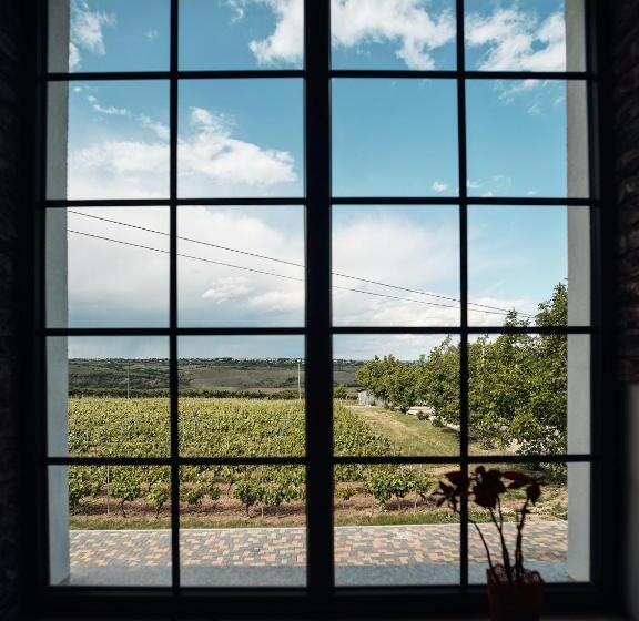 هتل Domeniile Panciu Winery & Resort