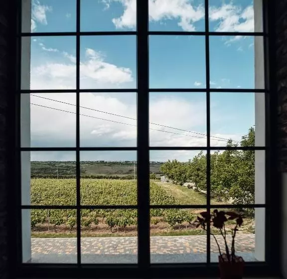 Hotelli Domeniile Panciu Winery & Resort