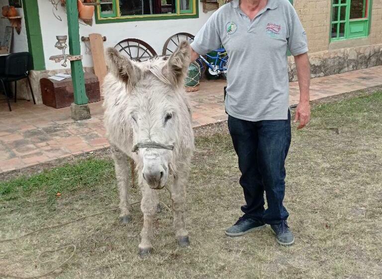 ホテル El Artesano