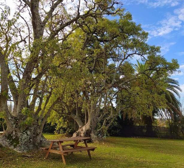 Hotel La Posada De Ofelia