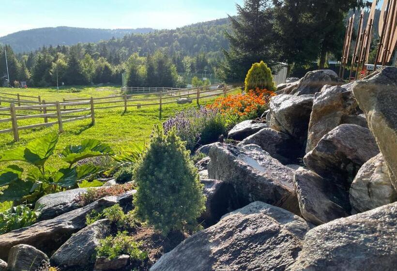 ホテル Zerrenpach Látky