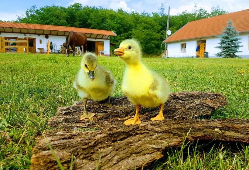 펜션 Akácliget Vendégház és Major