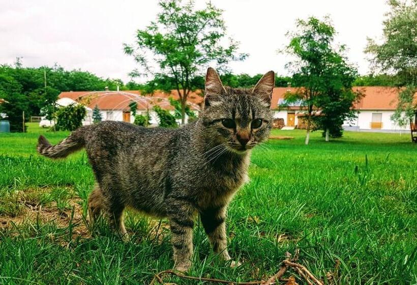 ペンション Akácliget Vendégház és Major