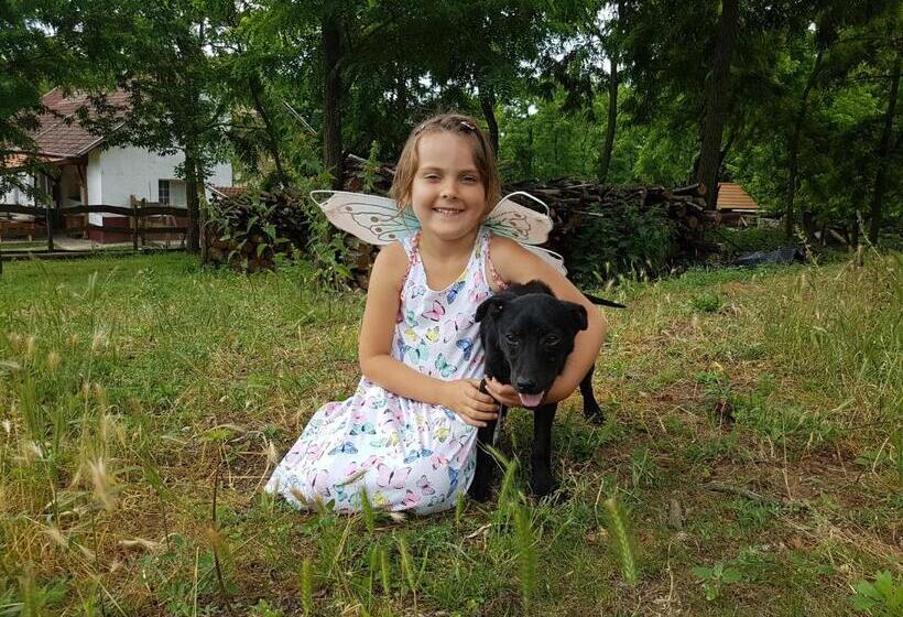 ペンション Akácliget Vendégház és Major