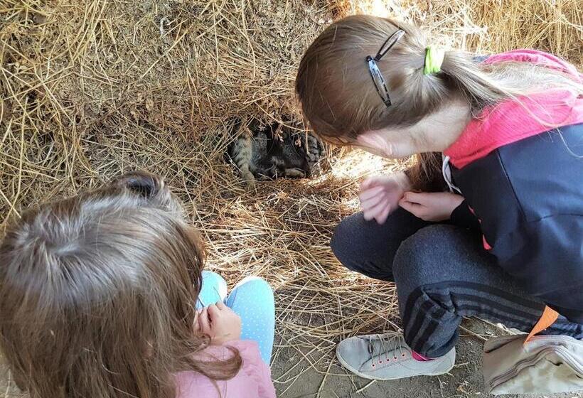 펜션 Akácliget Vendégház és Major