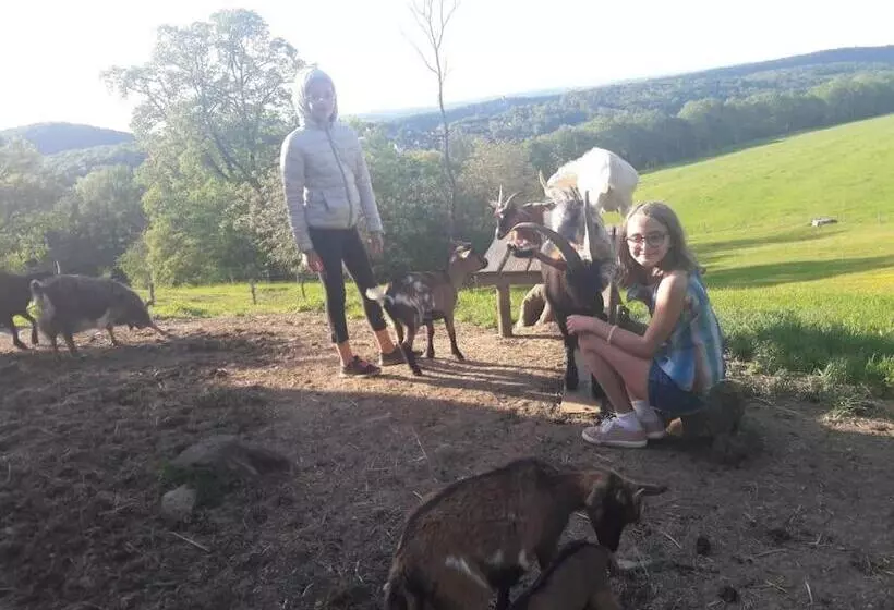 Majatalo Au Doubs Repos