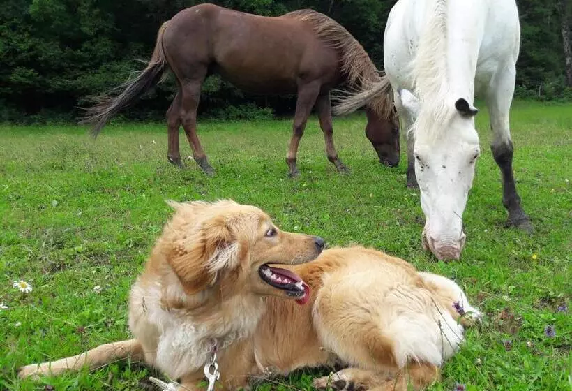 Majatalo Au Doubs Repos