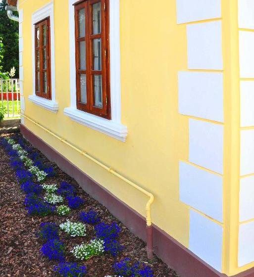 פנסיון Kis Balatoni ökoporta