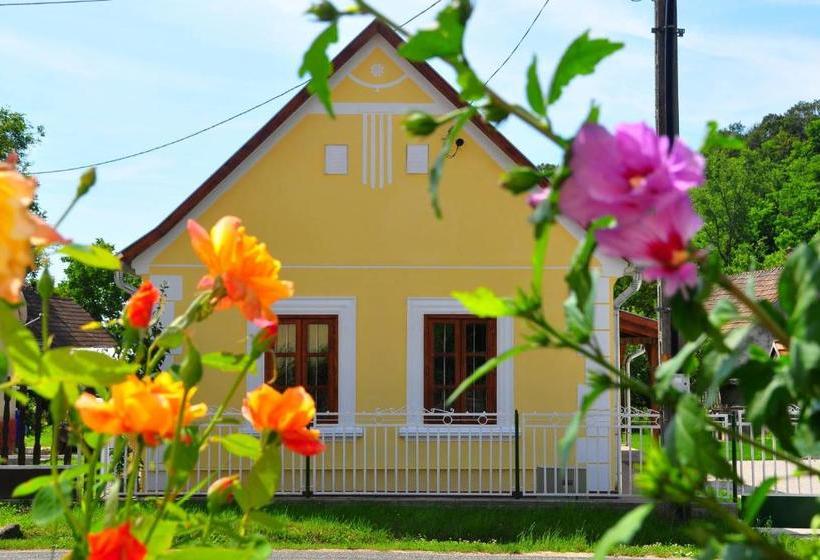 פנסיון Kis Balatoni ökoporta