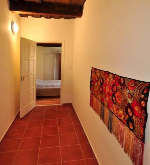 פנסיון Kis Balatoni ökoporta