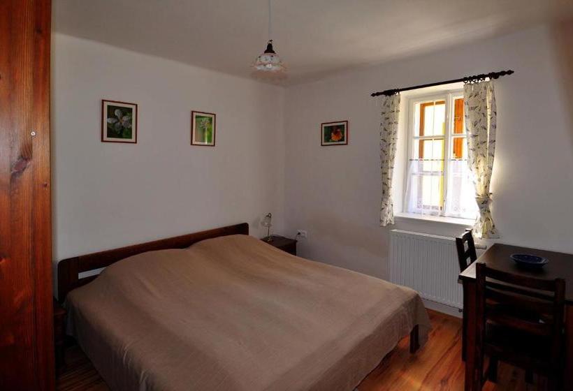 פנסיון Kis Balatoni ökoporta