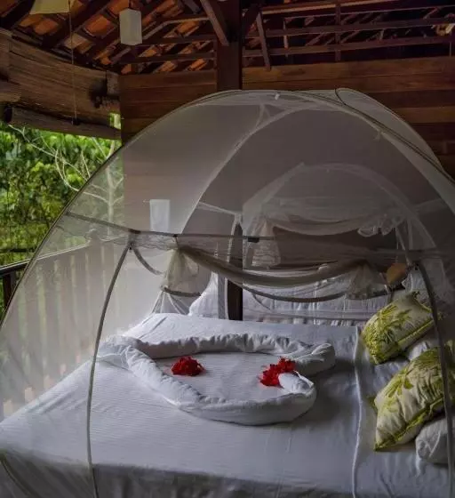 ペンション Wanakaset Forest Glamping