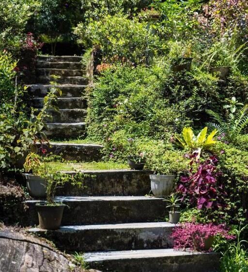 پانسیون Wanakaset Forest Glamping