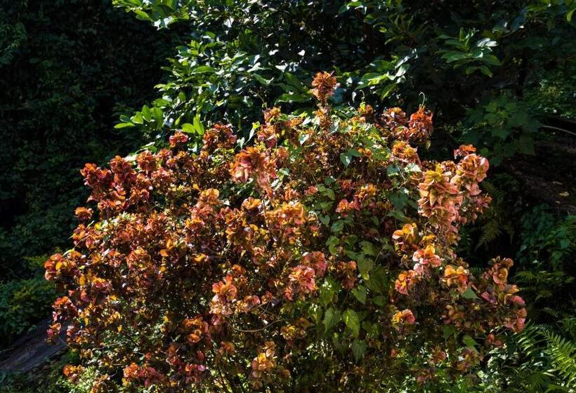 پانسیون Wanakaset Forest Glamping