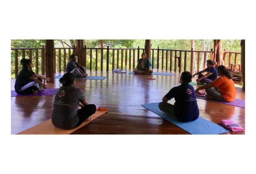 پانسیون Wanakaset Forest Glamping