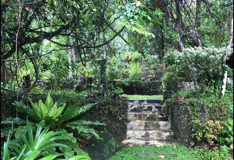 پانسیون Wanakaset Forest Glamping