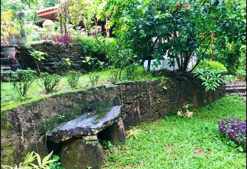 پانسیون Wanakaset Forest Glamping