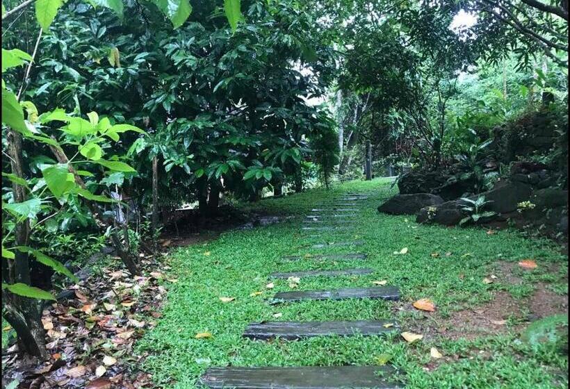 پانسیون Wanakaset Forest Glamping