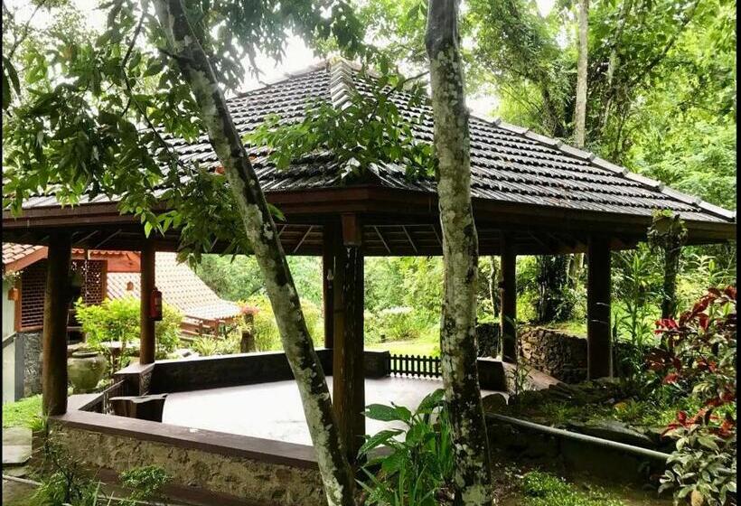 پانسیون Wanakaset Forest Glamping