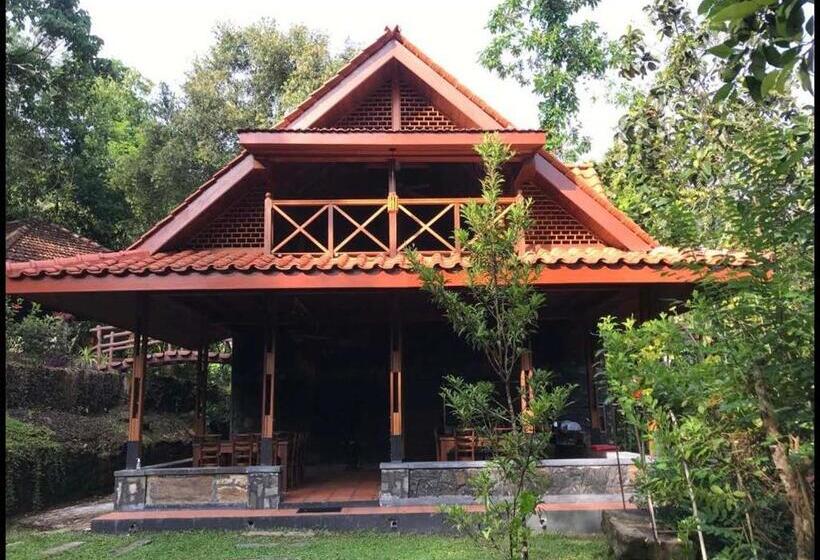 پانسیون Wanakaset Forest Glamping