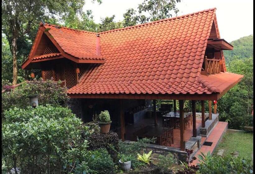 پانسیون Wanakaset Forest Glamping