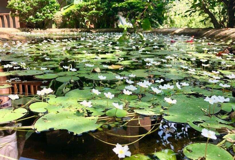 پانسیون Wanakaset Forest Glamping