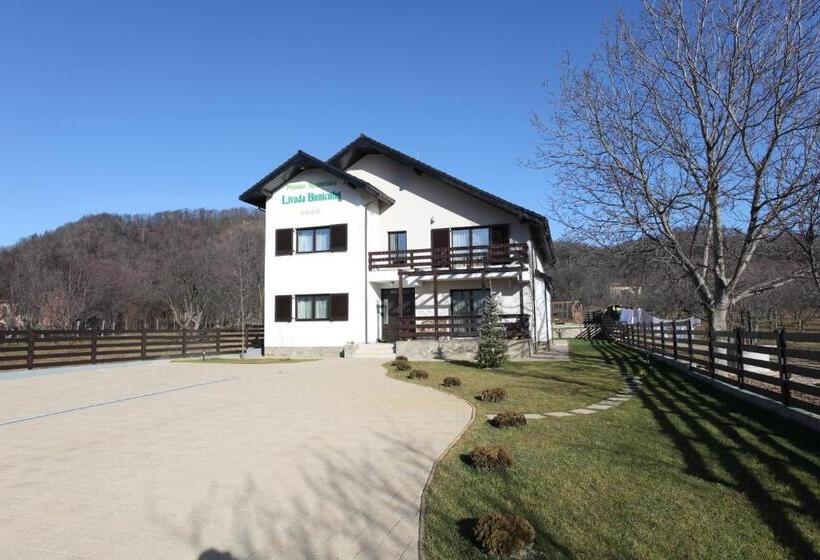 Pensiunea Livada Bunicului