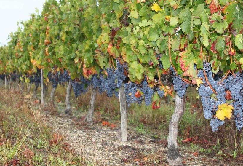 住宿加早餐  Chateau Couchebout