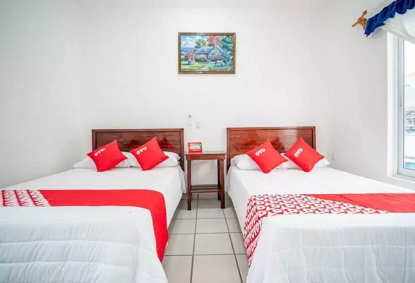 ホテル Oyo  Posada San Vicente